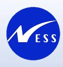 Ness Technologies Ltd