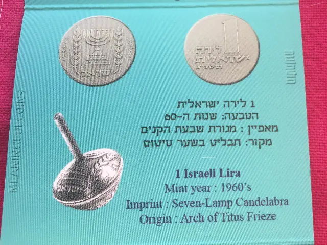 מרין שביט - 8