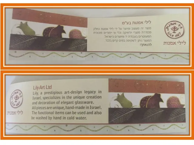 לילי שוחט - 2