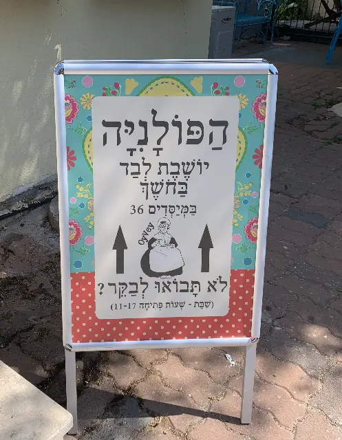 מיכל פישביין - 2