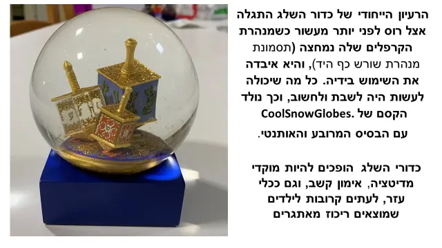 ליז רוס ודיוויד ווסטבי CoolSnowGlobes - 2