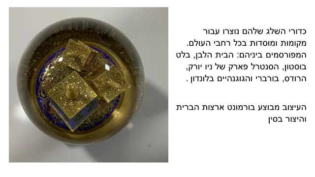 ליז רוס ודיוויד ווסטבי CoolSnowGlobes - 4