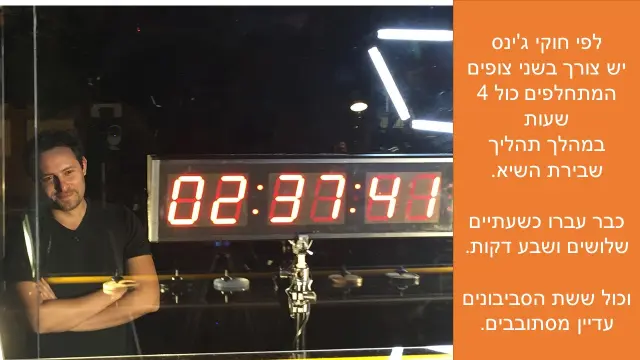 נימרוד בק - 2