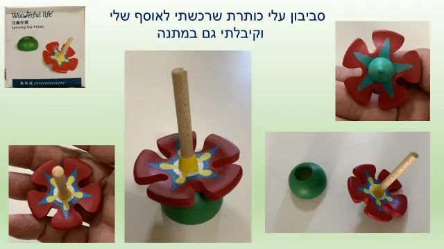 החיים מעוצבים מעץ - 5