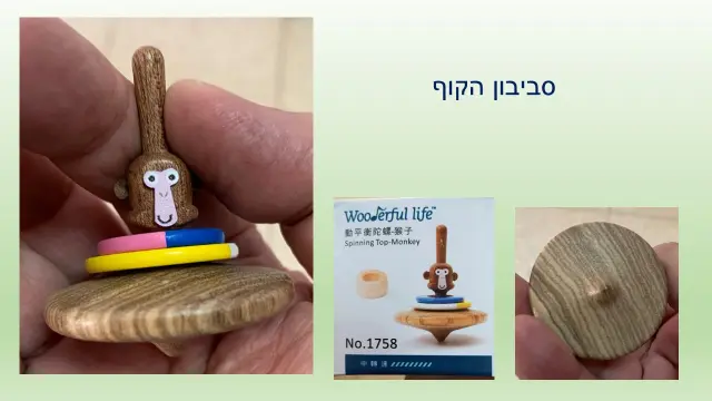 החיים מעוצבים מעץ - 4