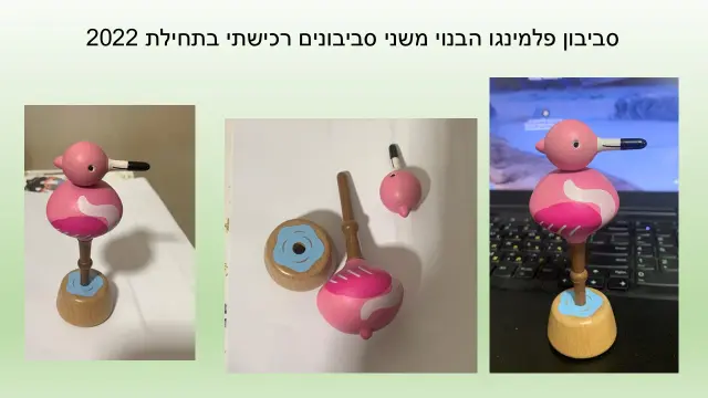 החיים מעוצבים מעץ - 14