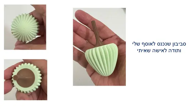 יערה נוסבוים - 7