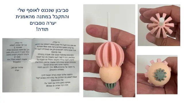 יערה נוסבוים - 8