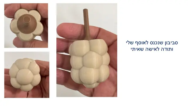 יערה נוסבוים - 5