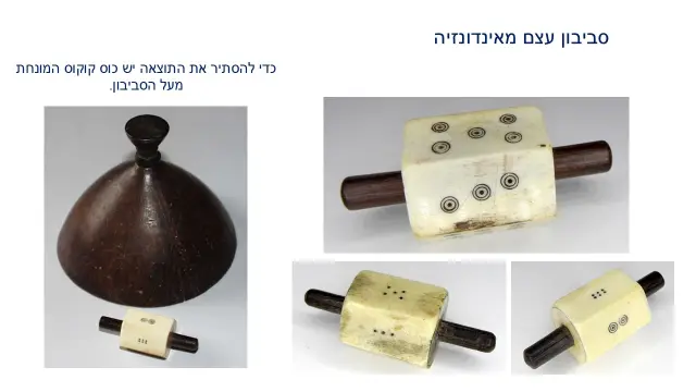 סביבון עצם יצרן לא ידוע - 11