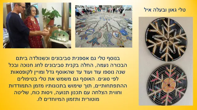 טלי גאון - 2