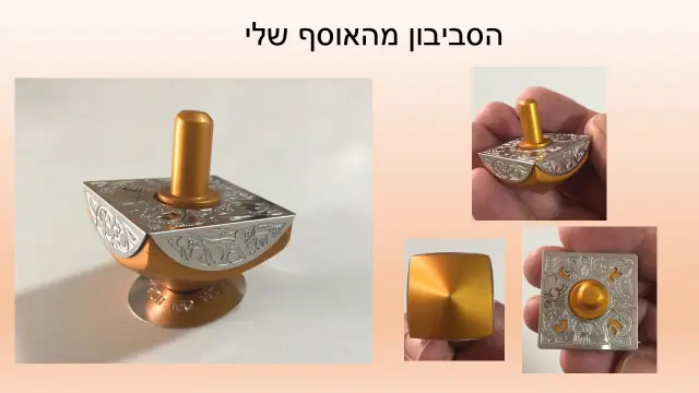 לב שניידרמן - 4