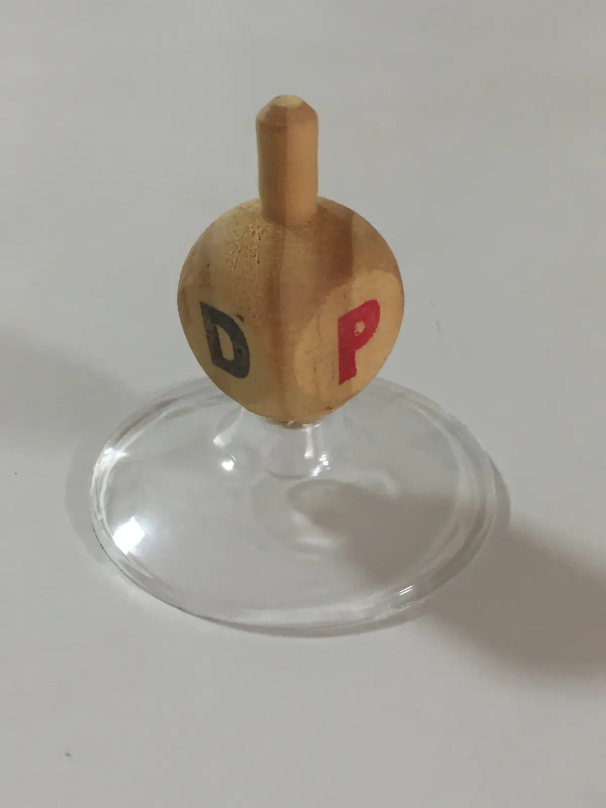 סביבון פורטוגלי RAPA