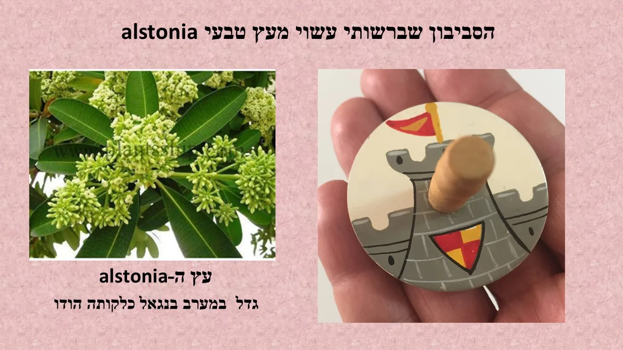 סביבון טירה של  תטו מווויאיי