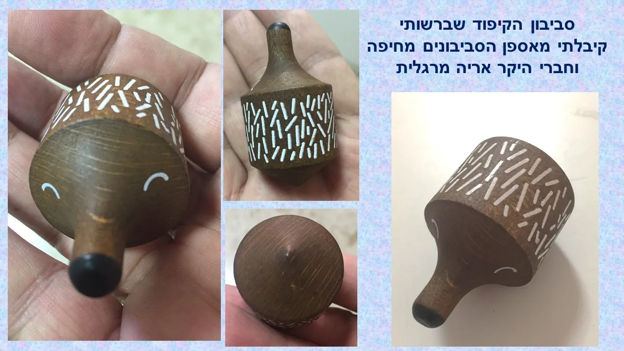 סביבון קיפוד של לונדג'י