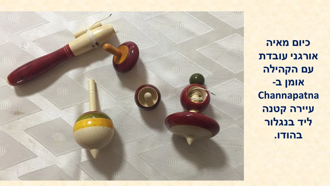 סביבון עץ אורגני מאיה הודו