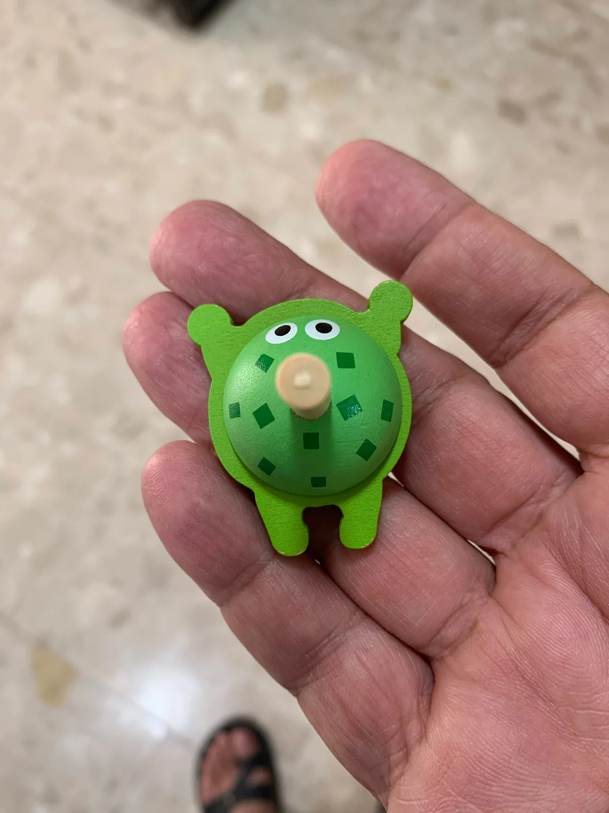סביבון צב מפלקדה שבדולומיטים איטליה