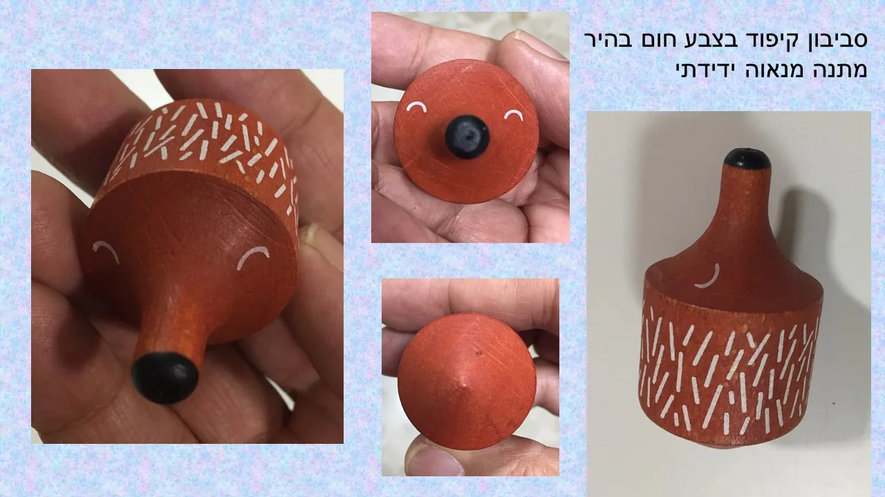 סביבון קיפוד של לונדג'י