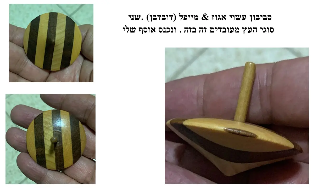סביבון מעץ מייפל (דובדבן) ואגוז שזורים זה בזה