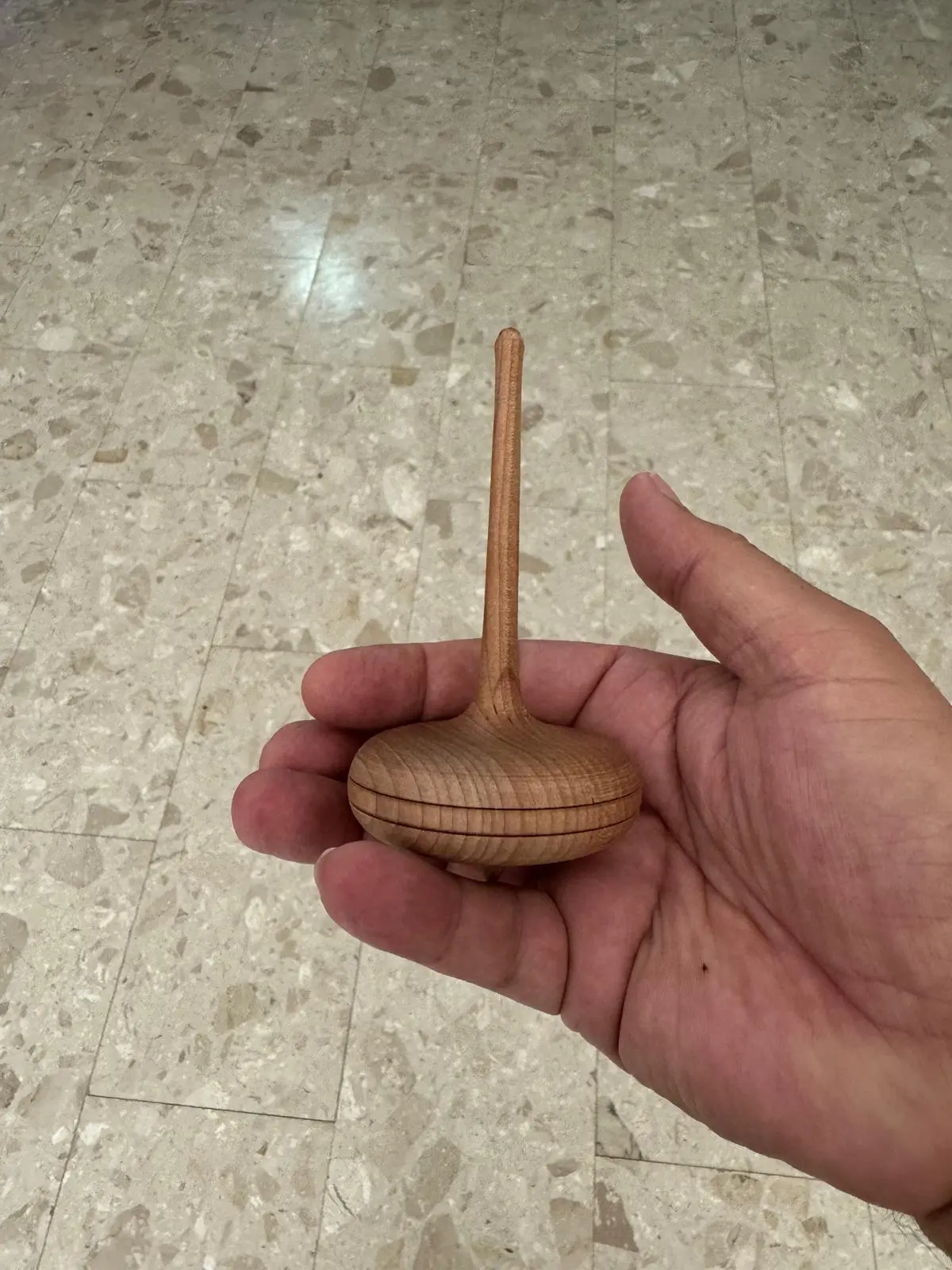 סביבון שנוי הביאה מסלובניה