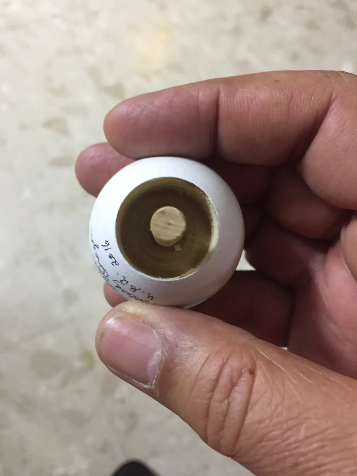 סביבון מתהפך עם משגר מארצות הברית פורטלנד