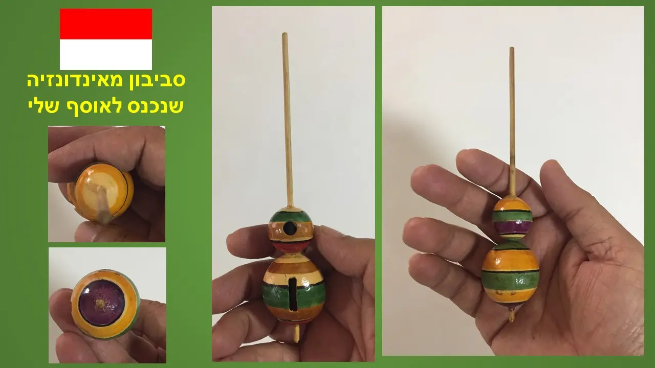 סביבון מדלעת מיובשת המסובב עם כפות הידים  מאינדונזיה