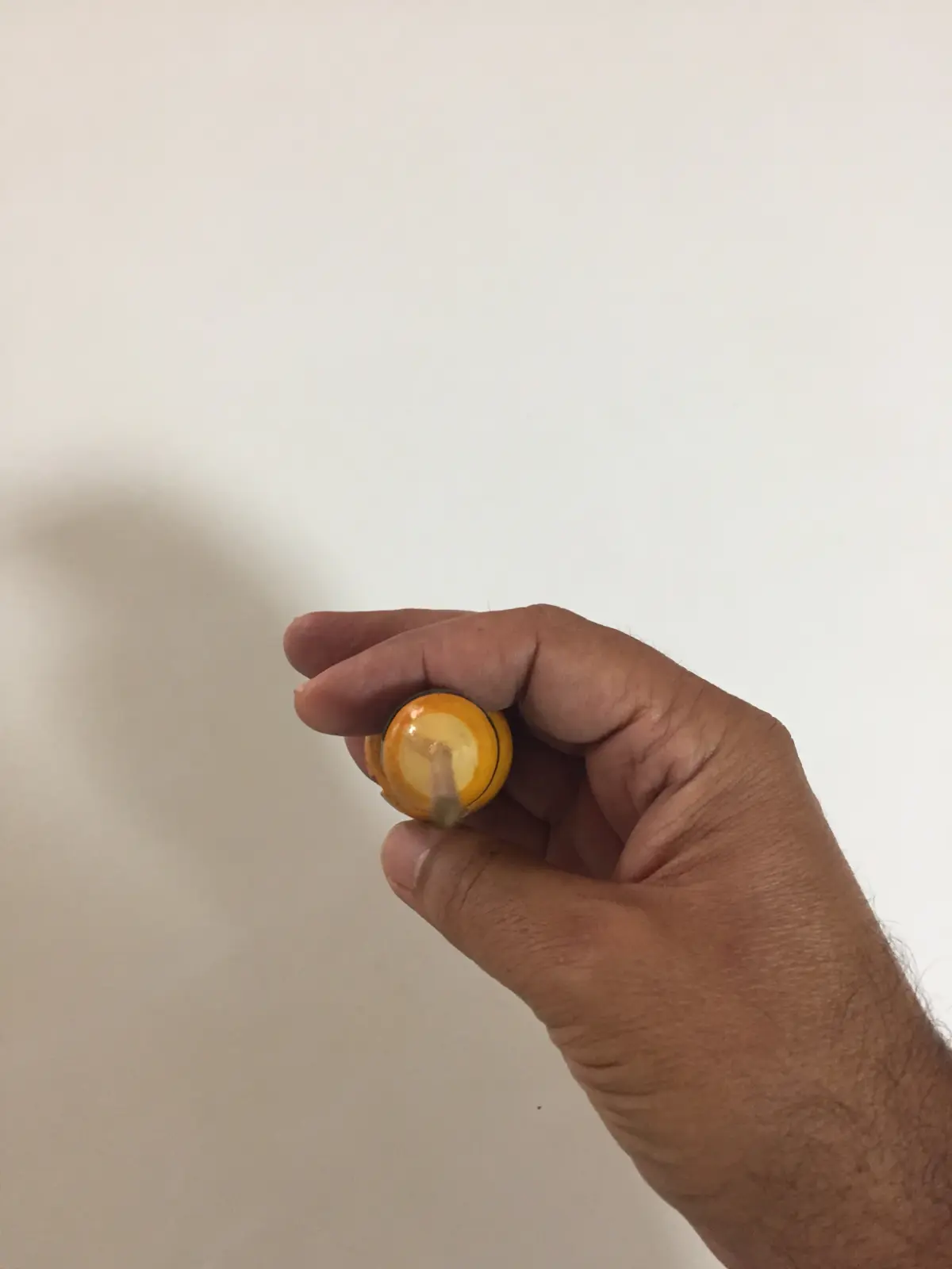 סביבון מדלעת מיובשת המסובב עם כפות הידים  מאינדונזיה