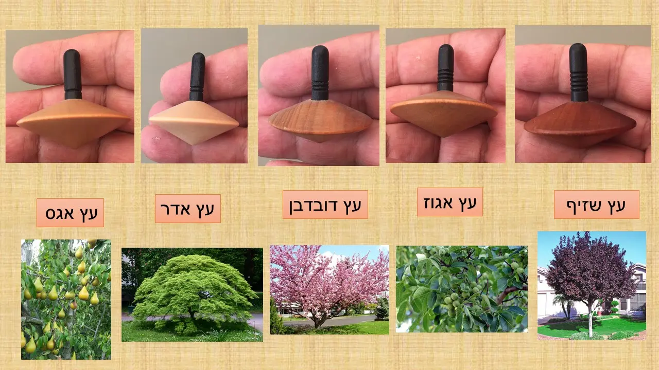 סביבון עץ דובדבן של החברה השוויצרית Naef