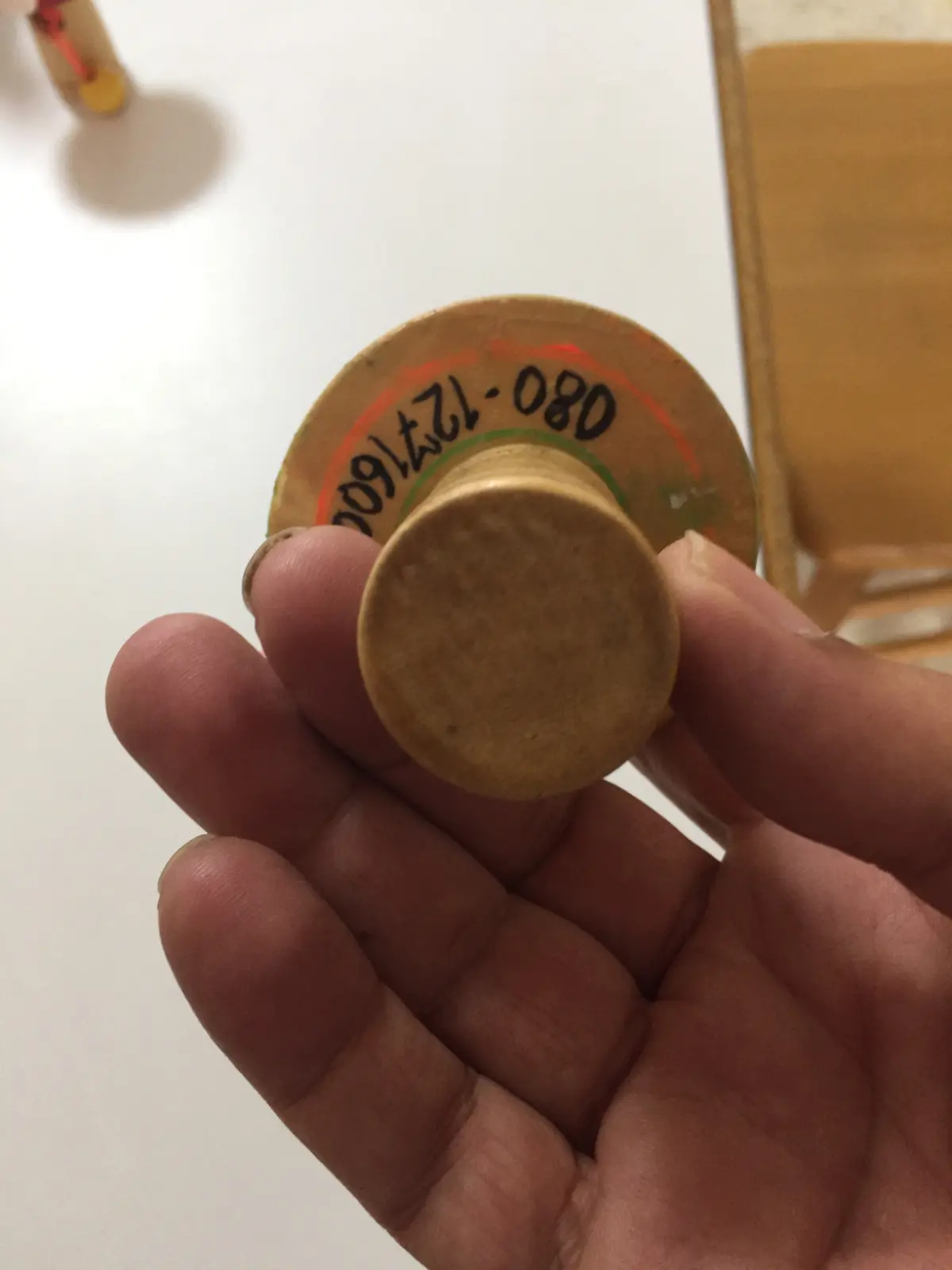 סביבון עם משגר וציור פיל מתרחץ מתאילנד