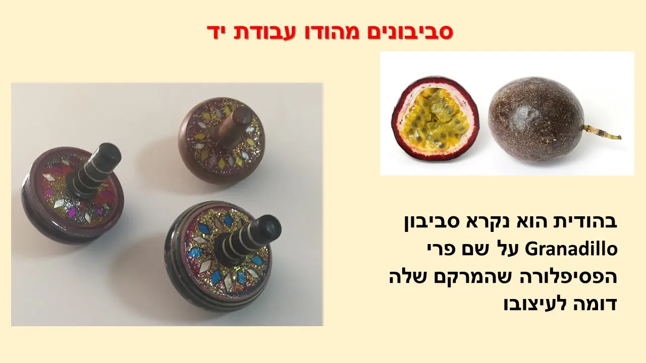 סביבון הודי