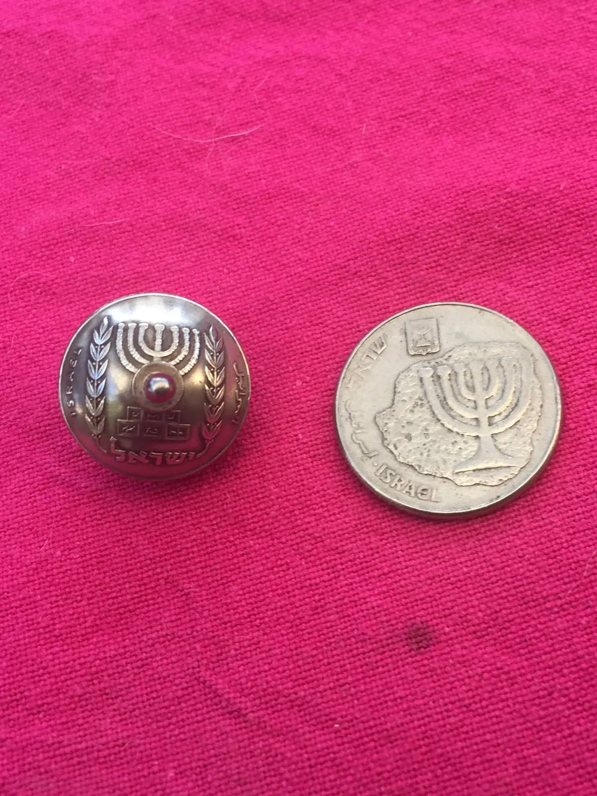 סביבון מטבע 100 שקלים מרין שביט