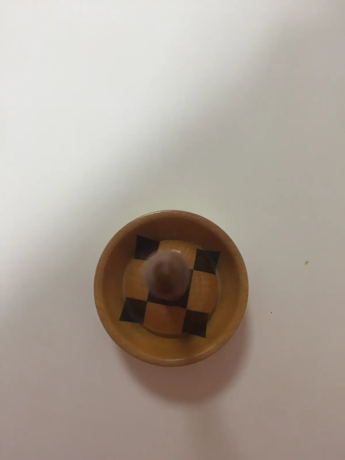 סביבון ארוך של שמעון אורנשטיין מנאות סמדר