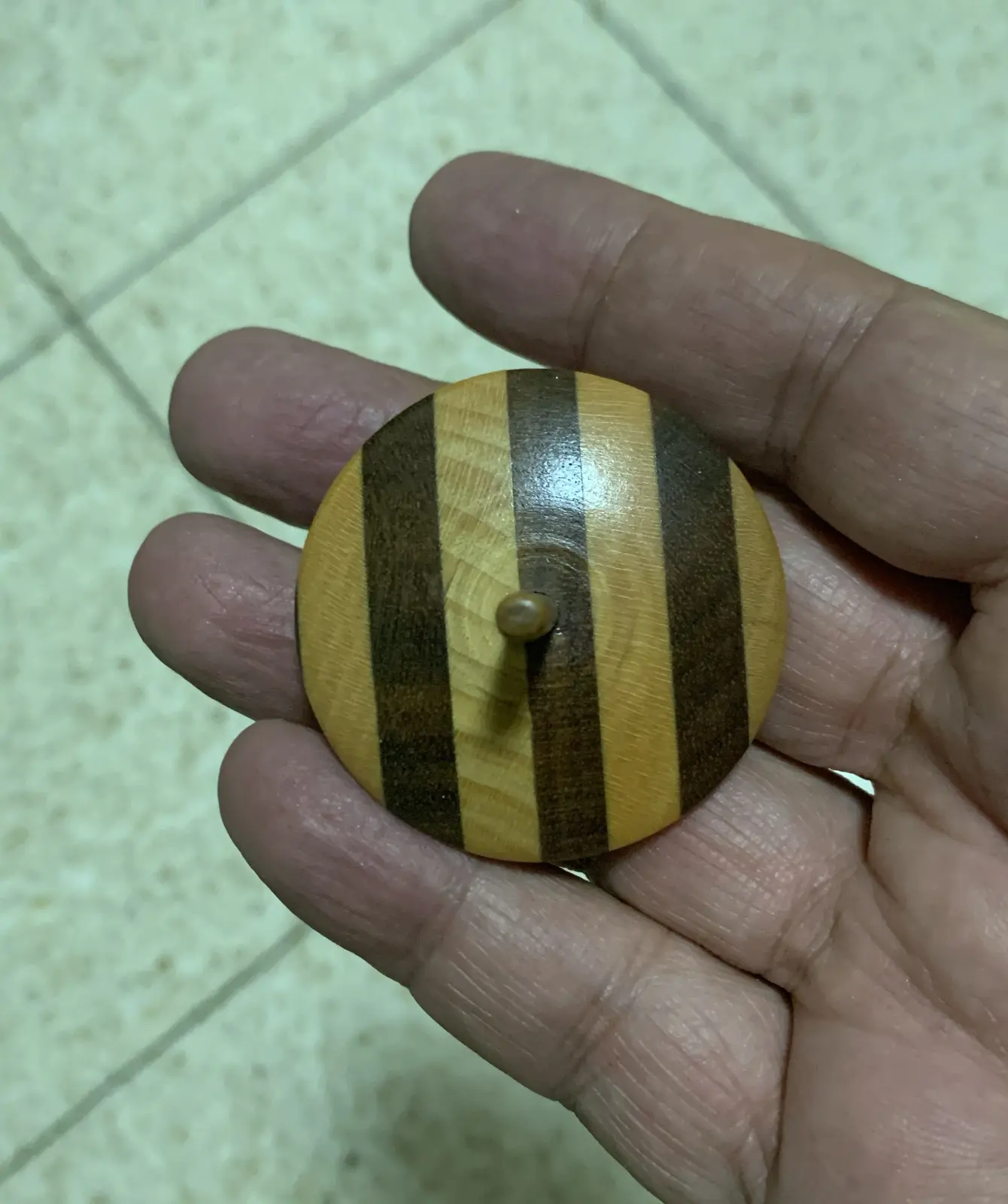 סביבון מעץ מייפל (דובדבן) ואגוז שזורים זה בזה