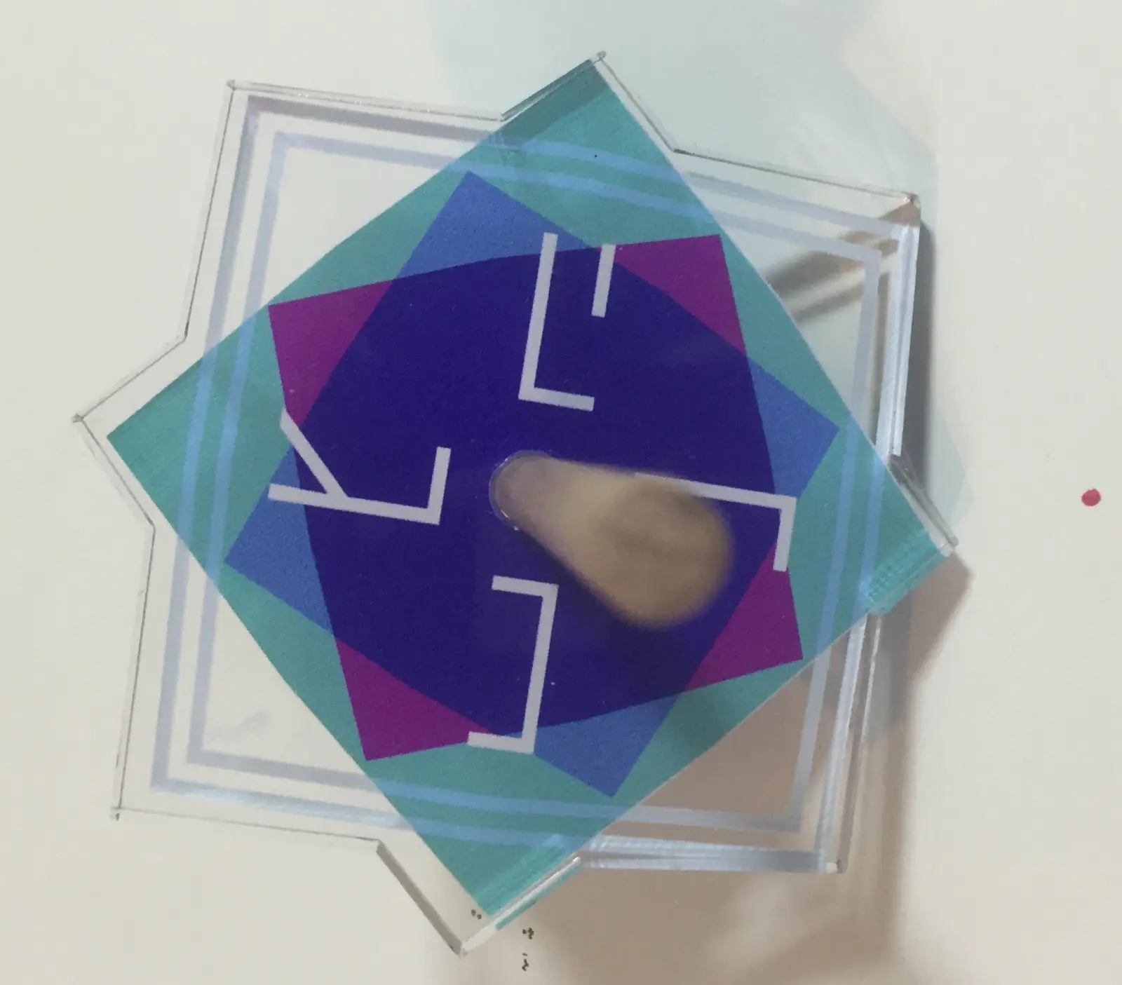 סביבון של ברברה שאו