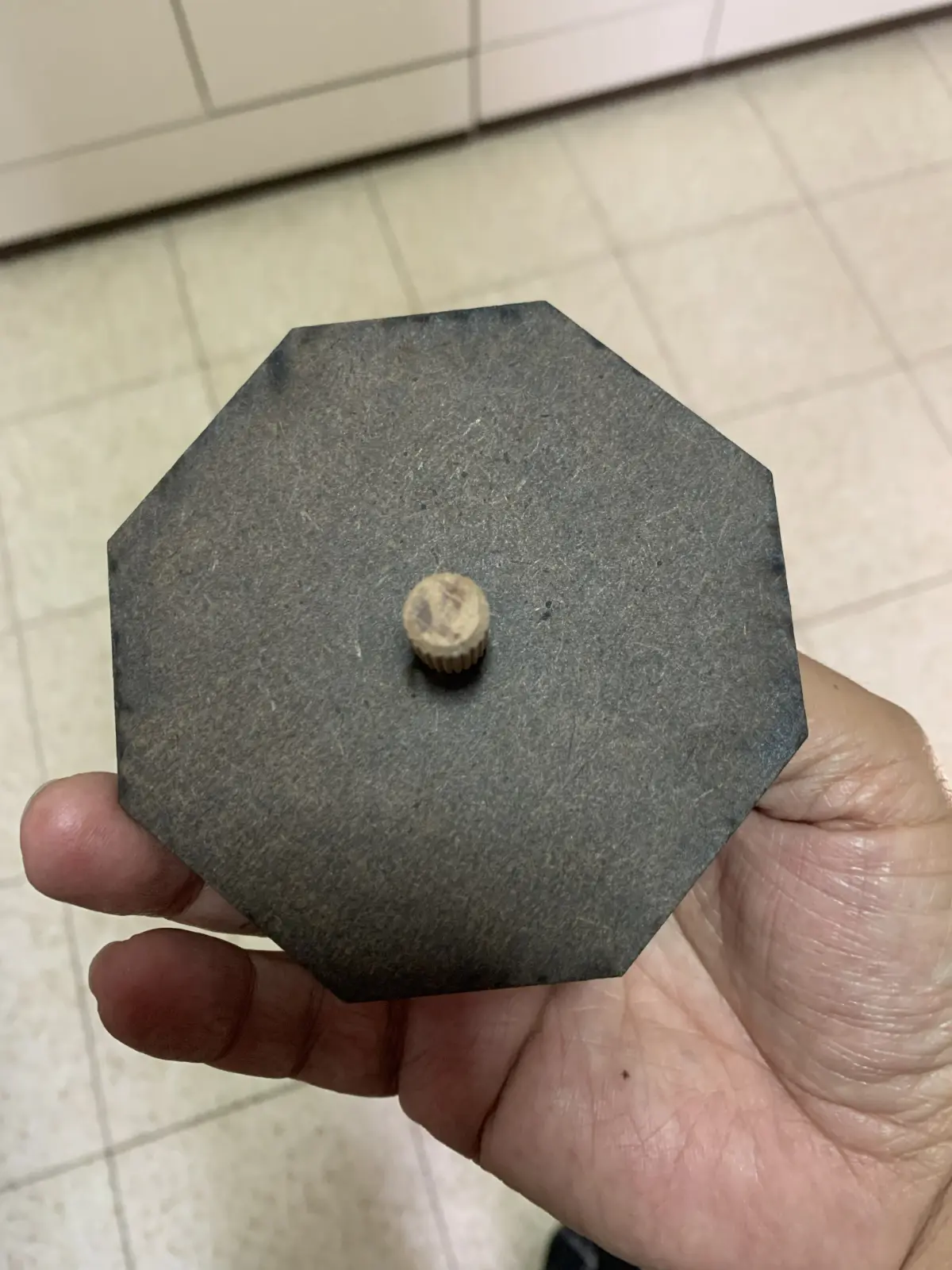 סביבון של ברברה שאו