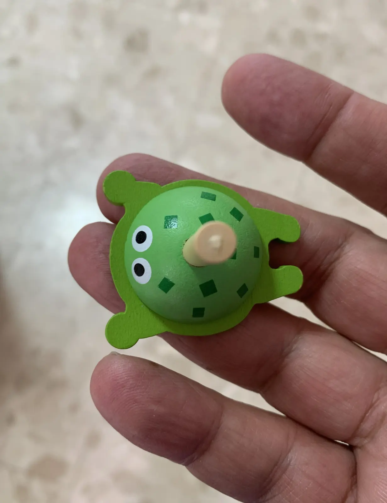 סביבון צב מפלקדה שבדולומיטים איטליה