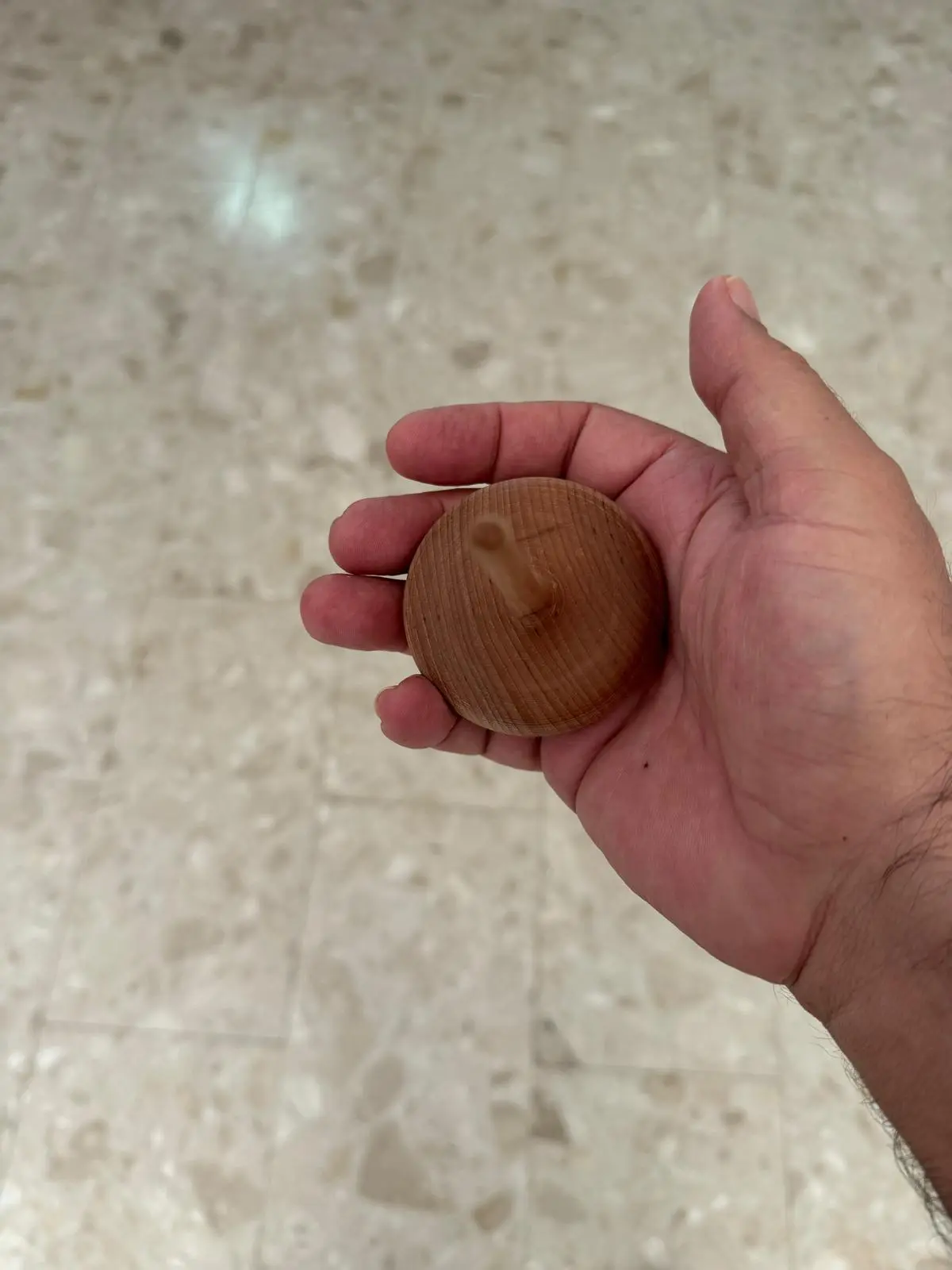 סביבון שנוי הביאה מסלובניה