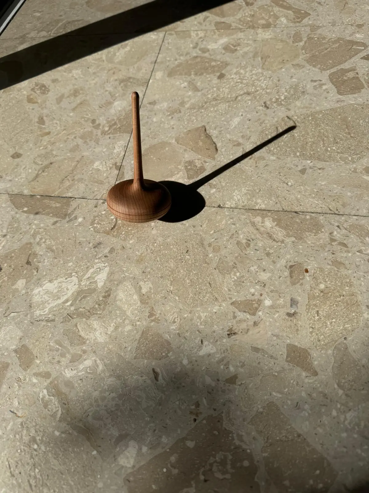 סביבון שנוי הביאה מסלובניה