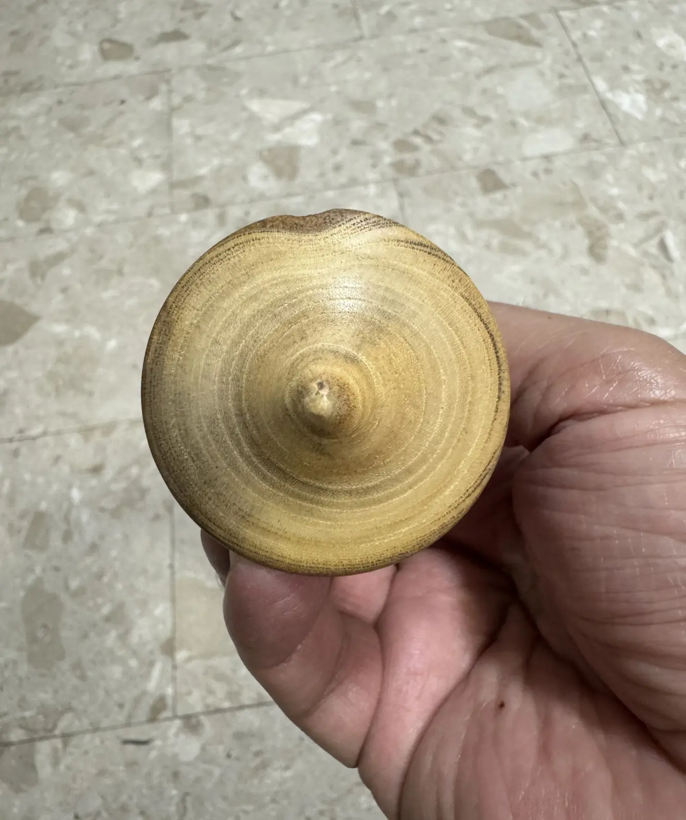 סביבון עץ של ליאון מכרמיאל