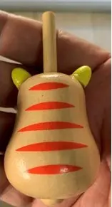 סביבון נמר יבוא  מהודו