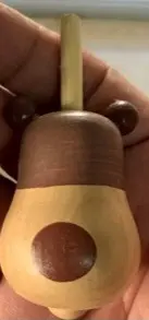 סביבון דוב יבוא  מהודו