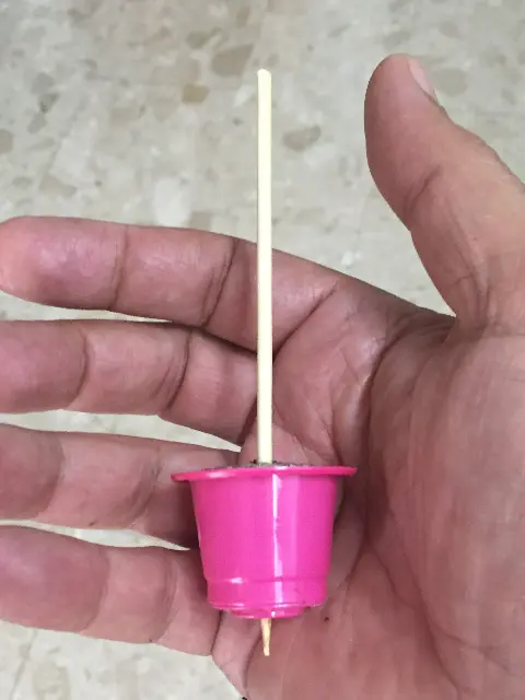 סביביבון מקפסולת קפה וקיסם עץ